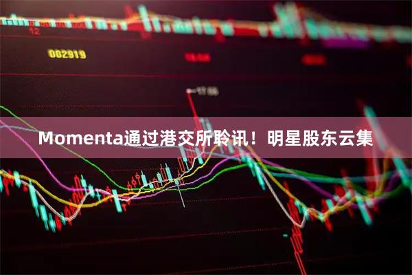 Momenta通过港交所聆讯！明星股东云集